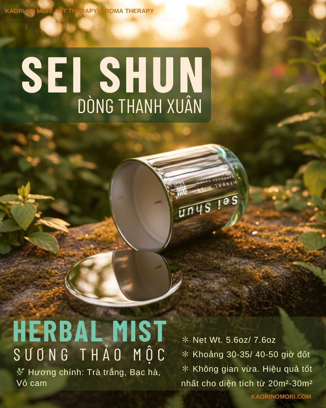 Nến thơm Herbal Mist/ Sương thảo mộc - Ảnh 5